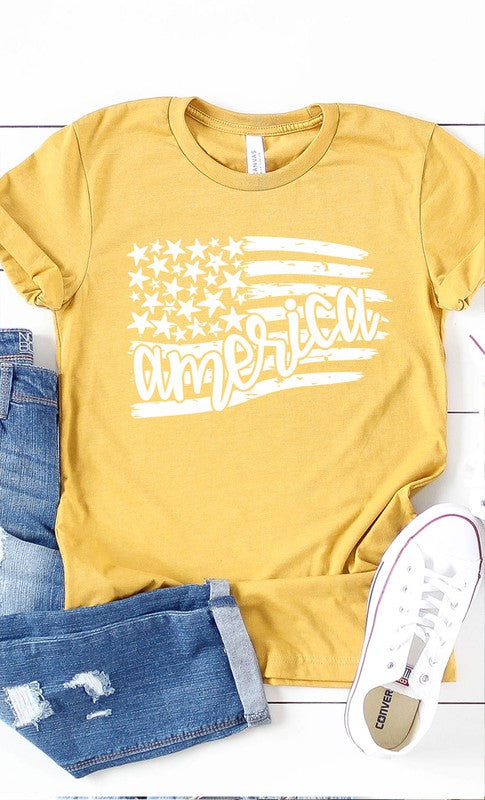 America Flag stars stripes Plus Size Graphic Tee